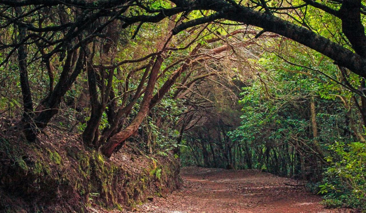 Finca Tropical Arico Viejo Exterior foto